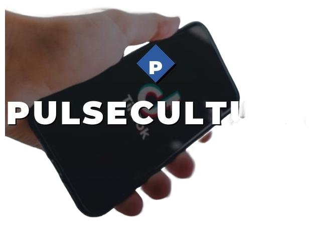 PulseCulture logo